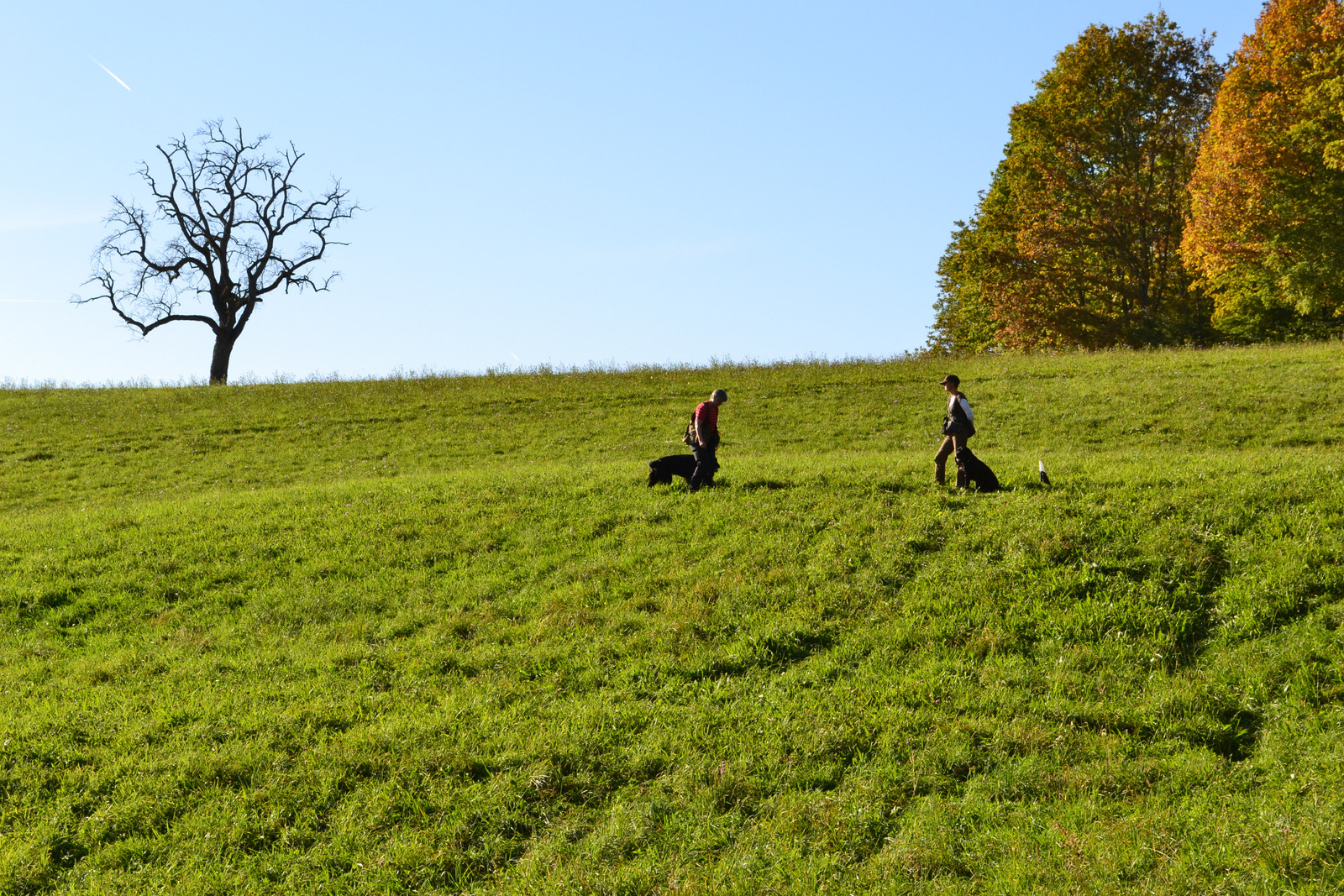 Seminar Jörg 19.10 017